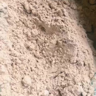 炼油厂下来的大豆油粉