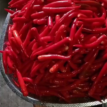 辣椒6