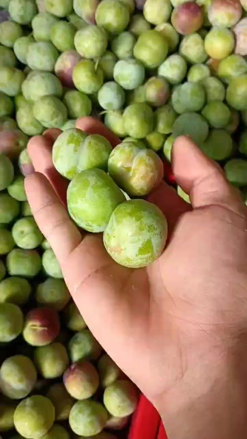 半边红一件代发