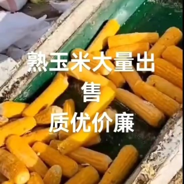 熟玉米，和玉米营养一样，非常干，非常干。密封保存，三个月不坏