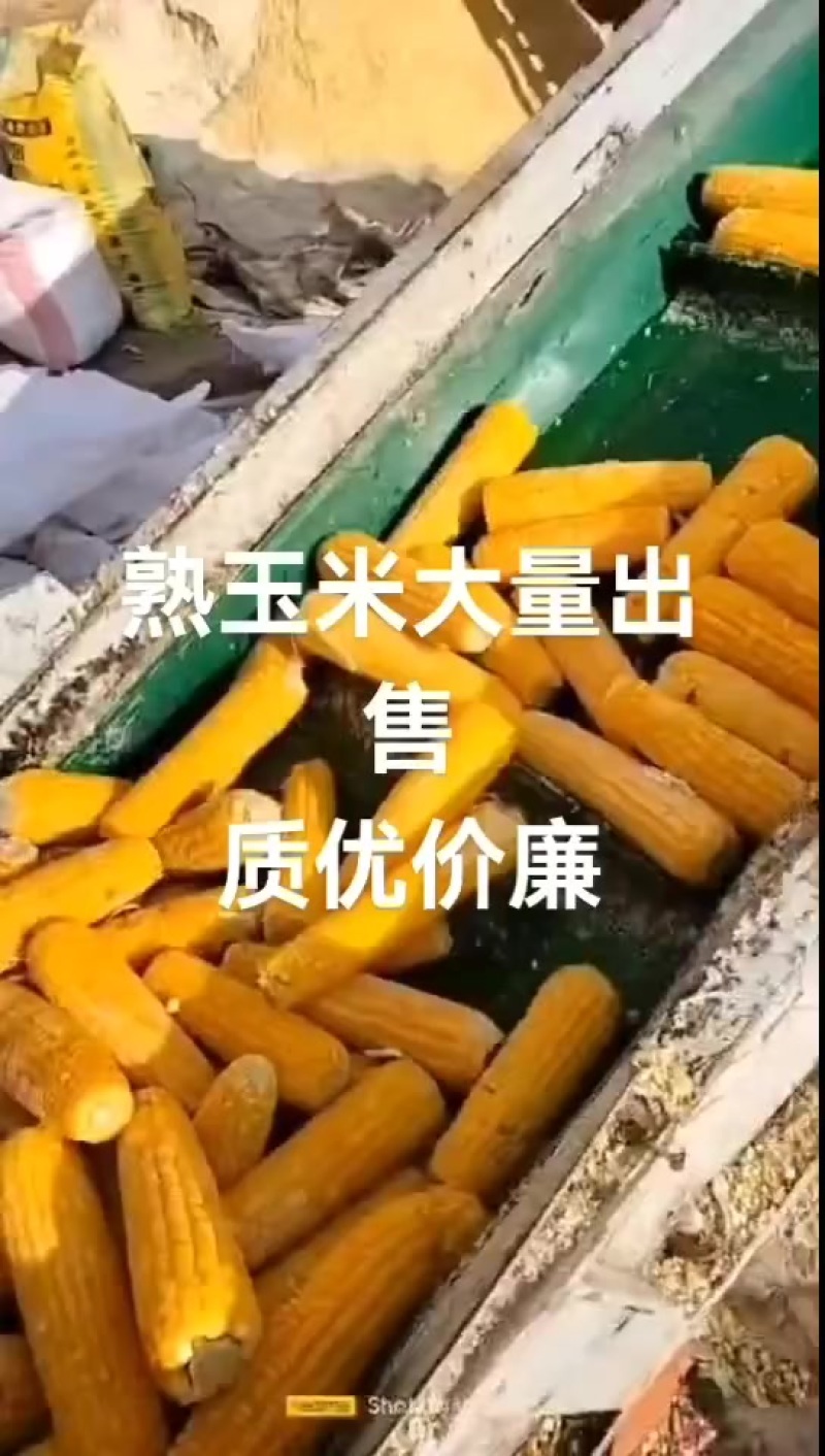 熟玉米，和玉米营养一样，非常干，非常干。密封保存，三个月不坏
