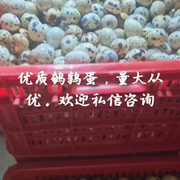 鹌鹑蛋