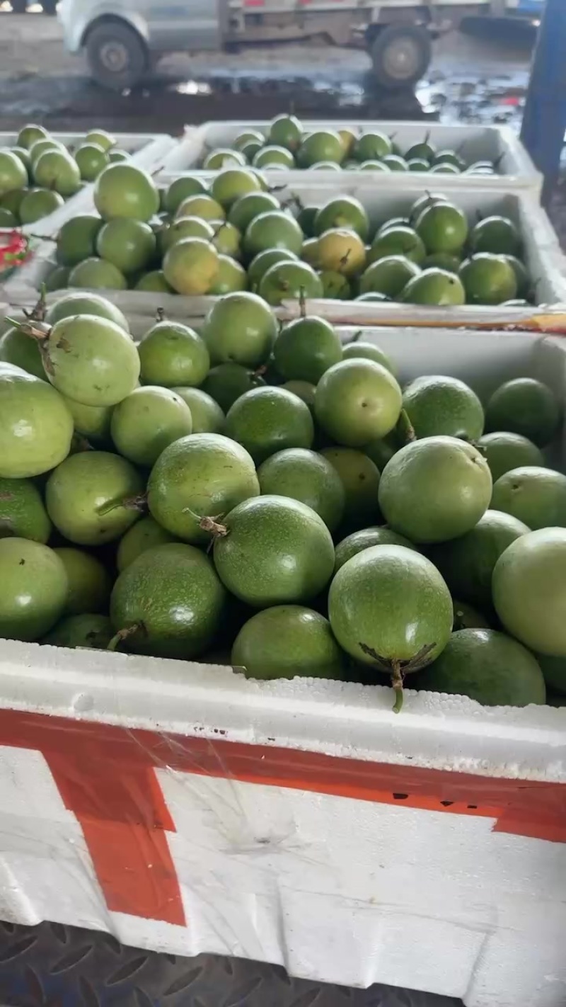 钦蜜9号百香果