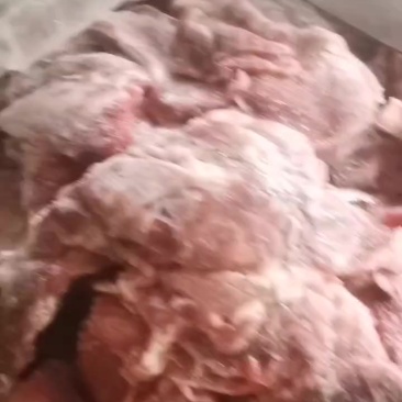 瓜条碎肉纯干不调理