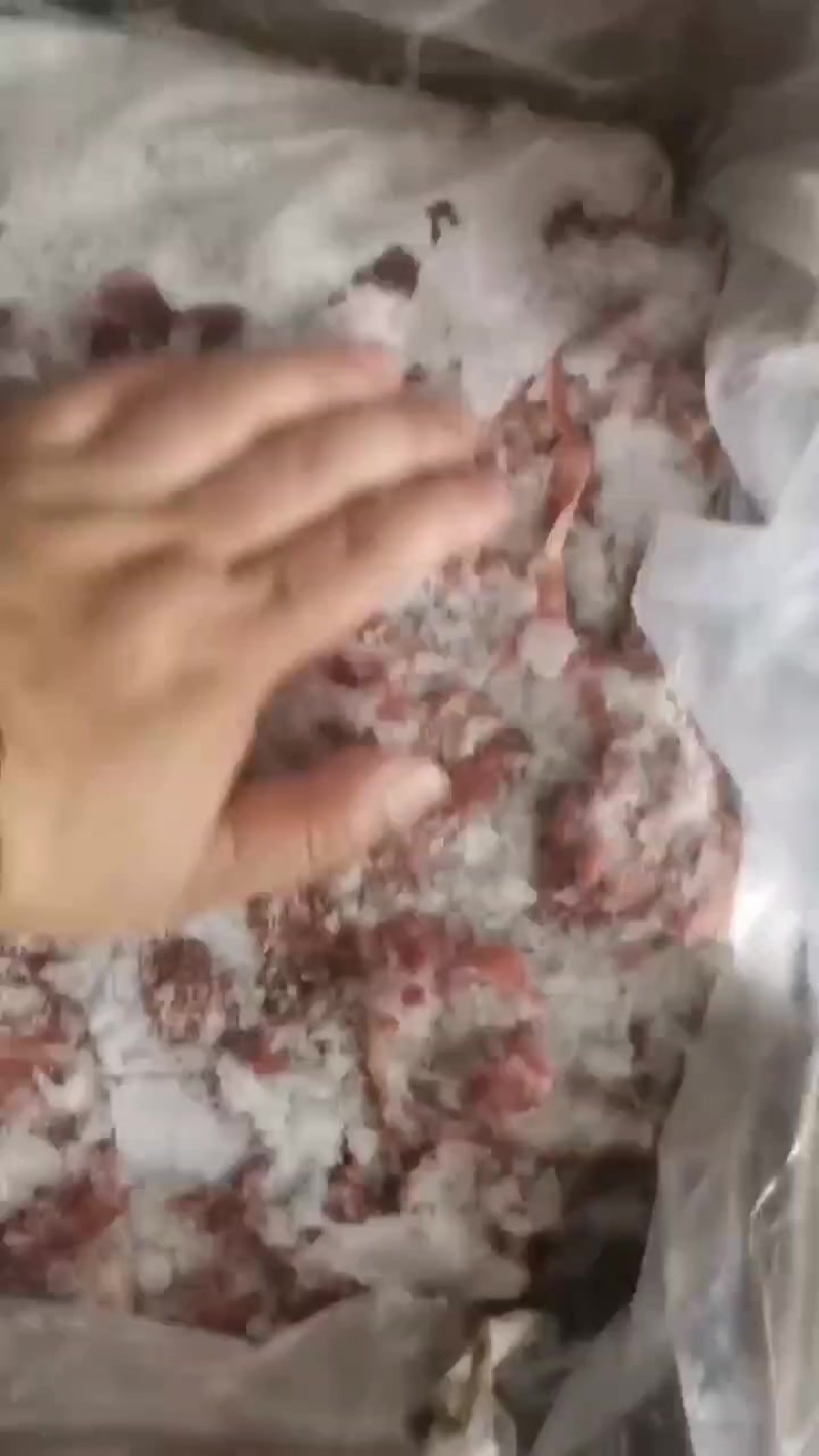 瓜条碎肉纯干不调理