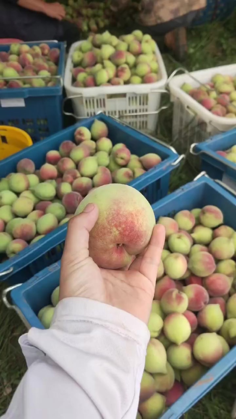 水蜜桃