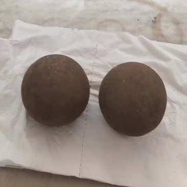 羊宝