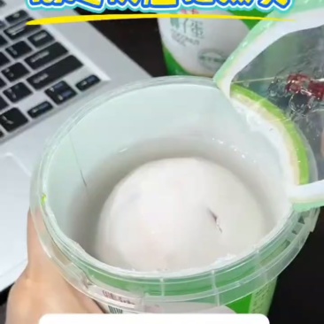 纯正椰子蛋饮料