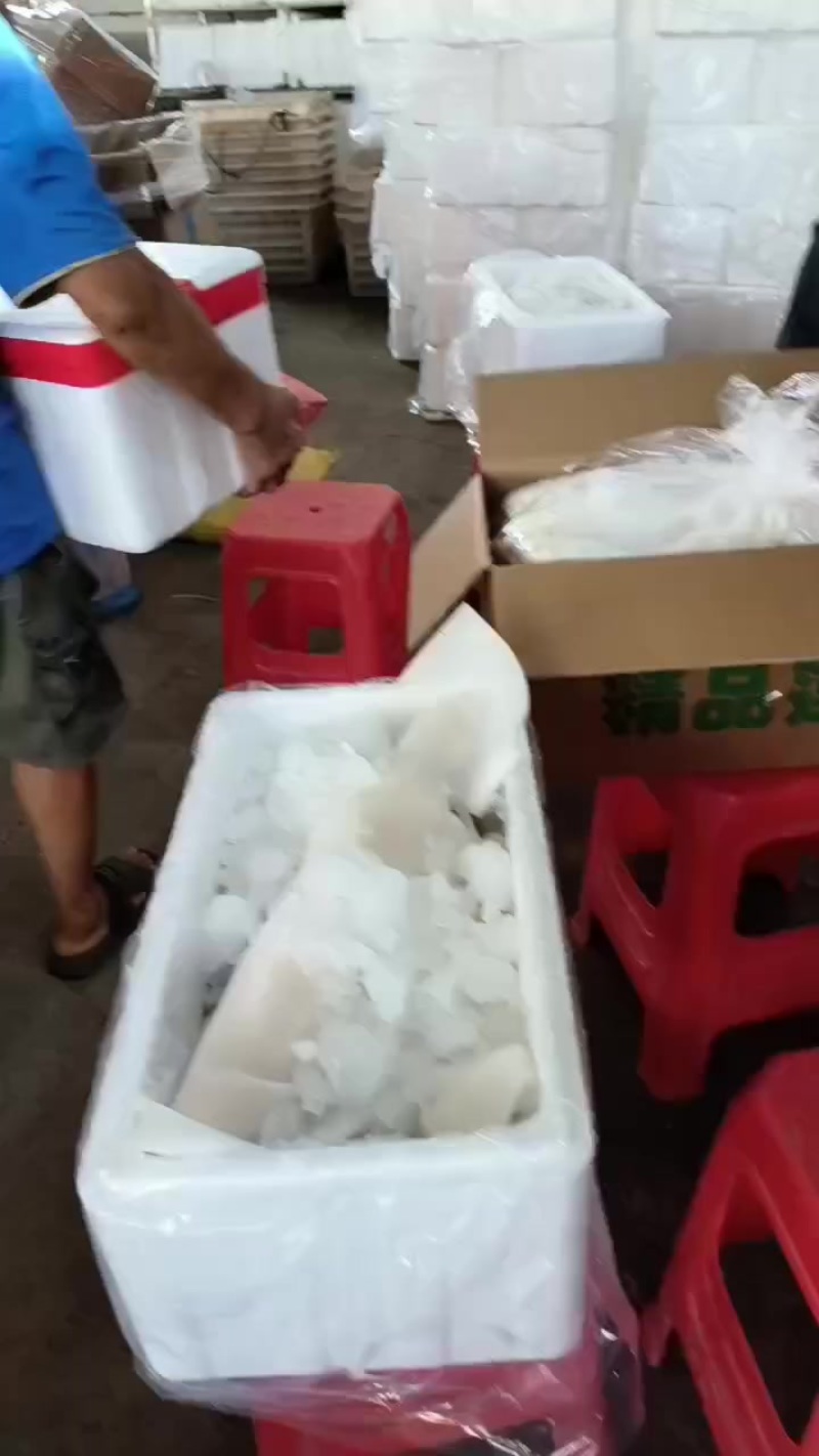 小白货