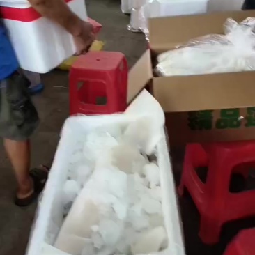 小白货