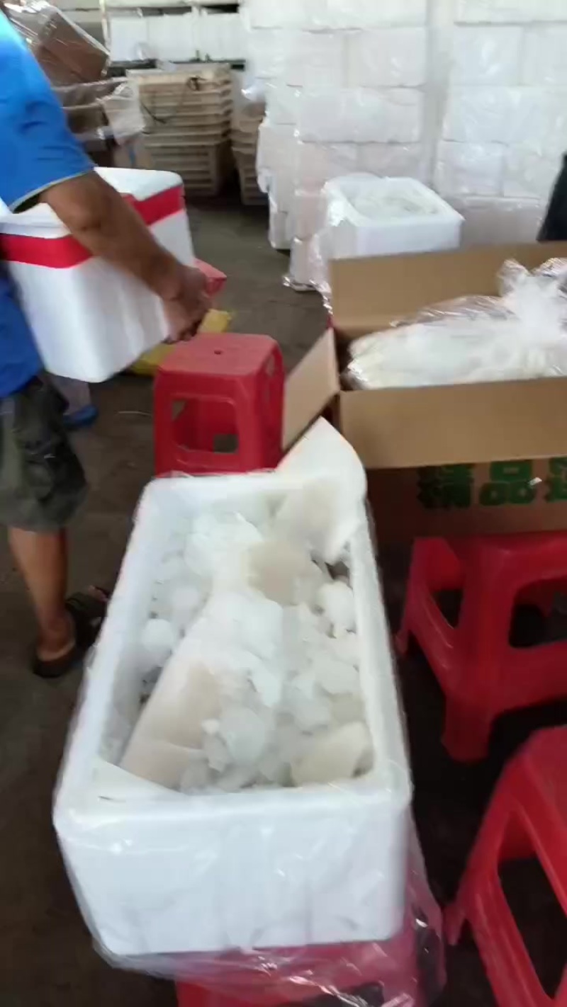 小白货