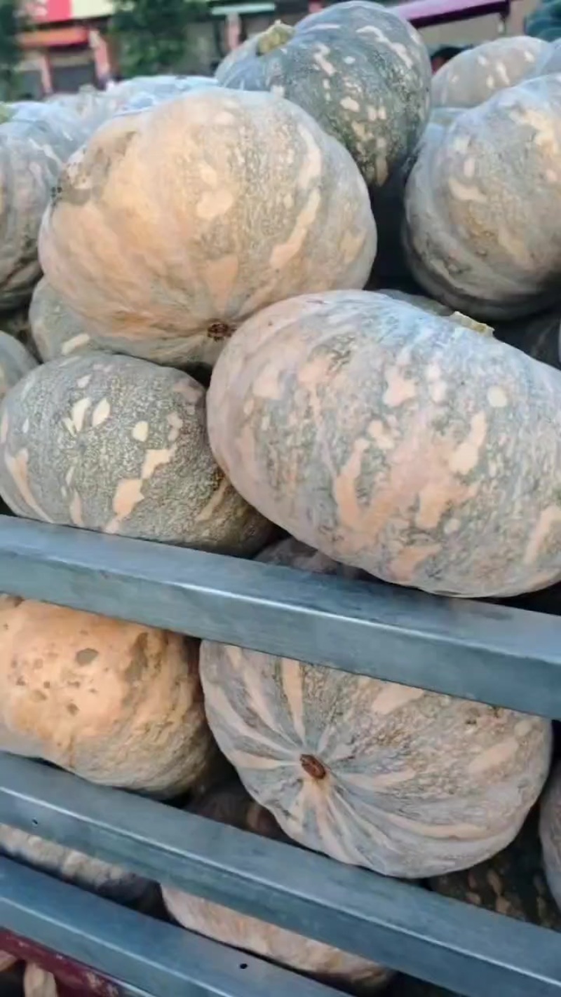 盘龙204