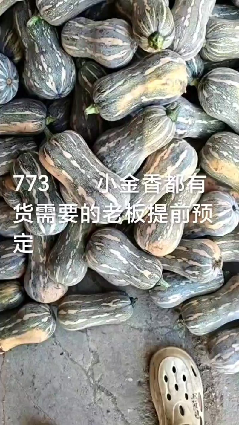 盘龙204