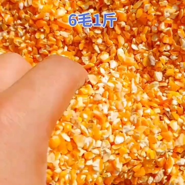 碎玉米