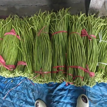 豆角青条豆角
