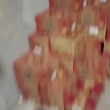山东丑梨