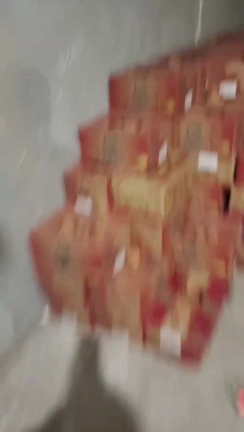 山东丑梨