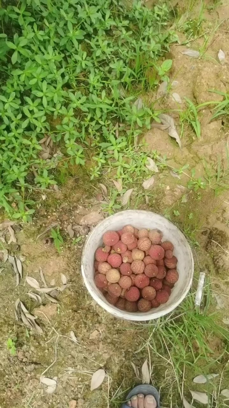 欢迎老板来看货