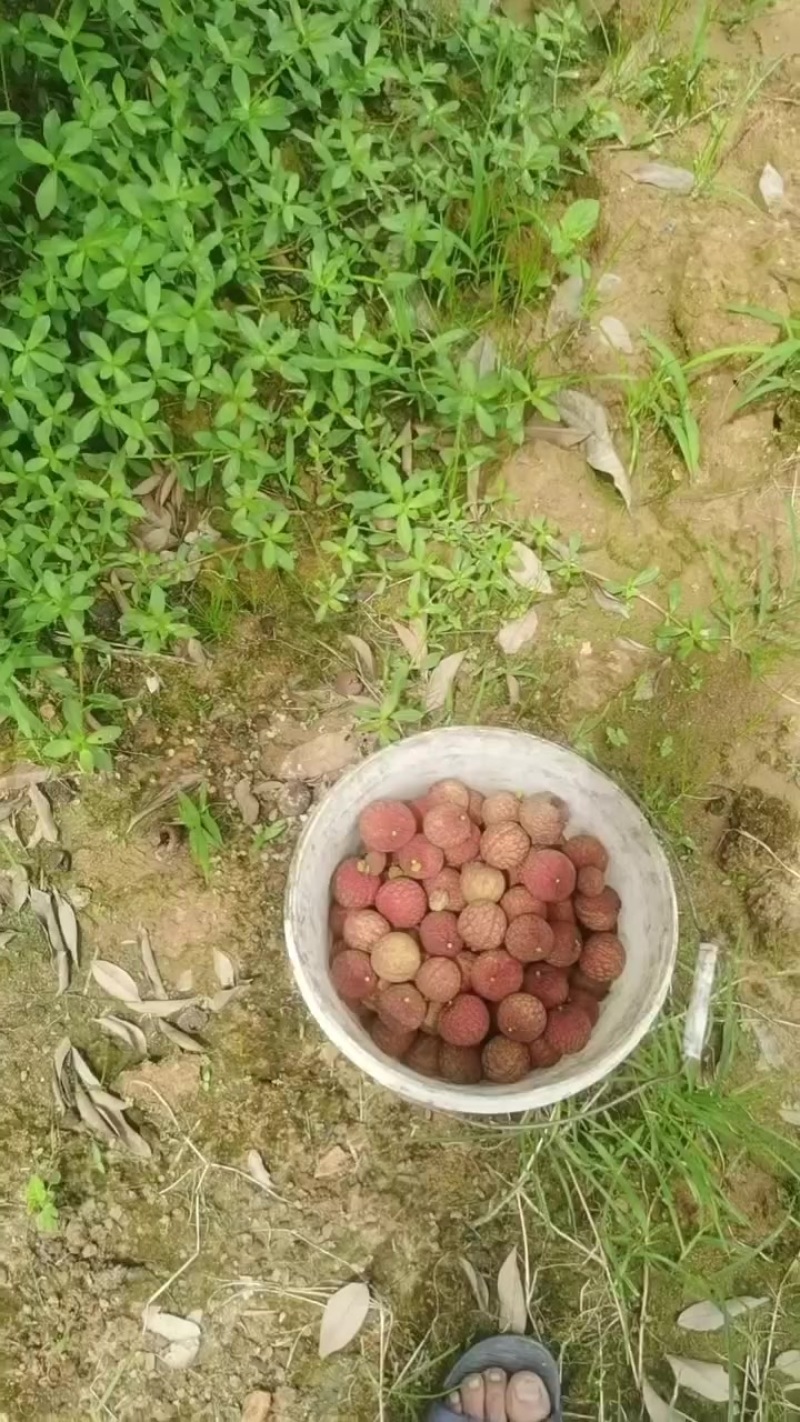 欢迎老板来看货