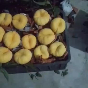 蟠桃