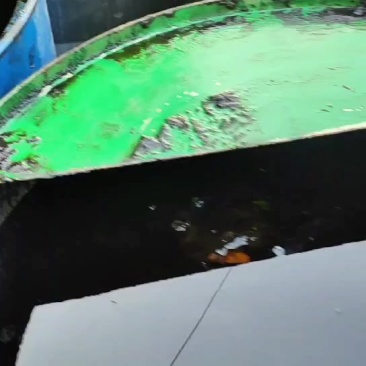 纯菜籽油泥