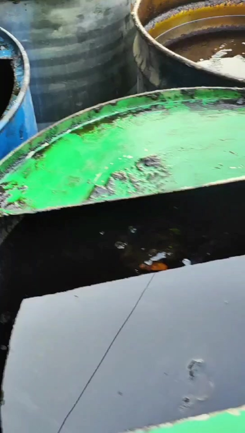 纯菜籽油泥