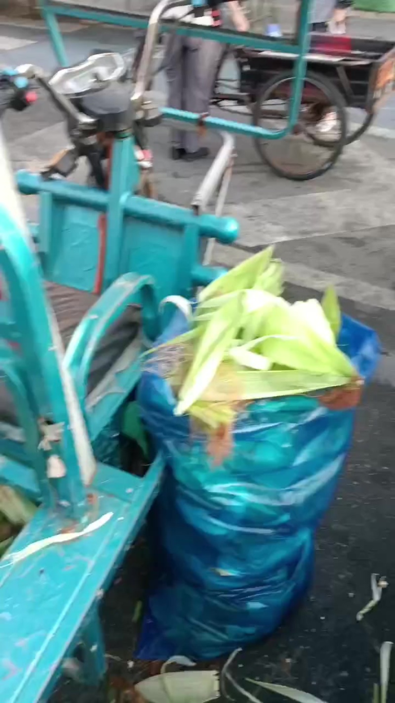 玉米