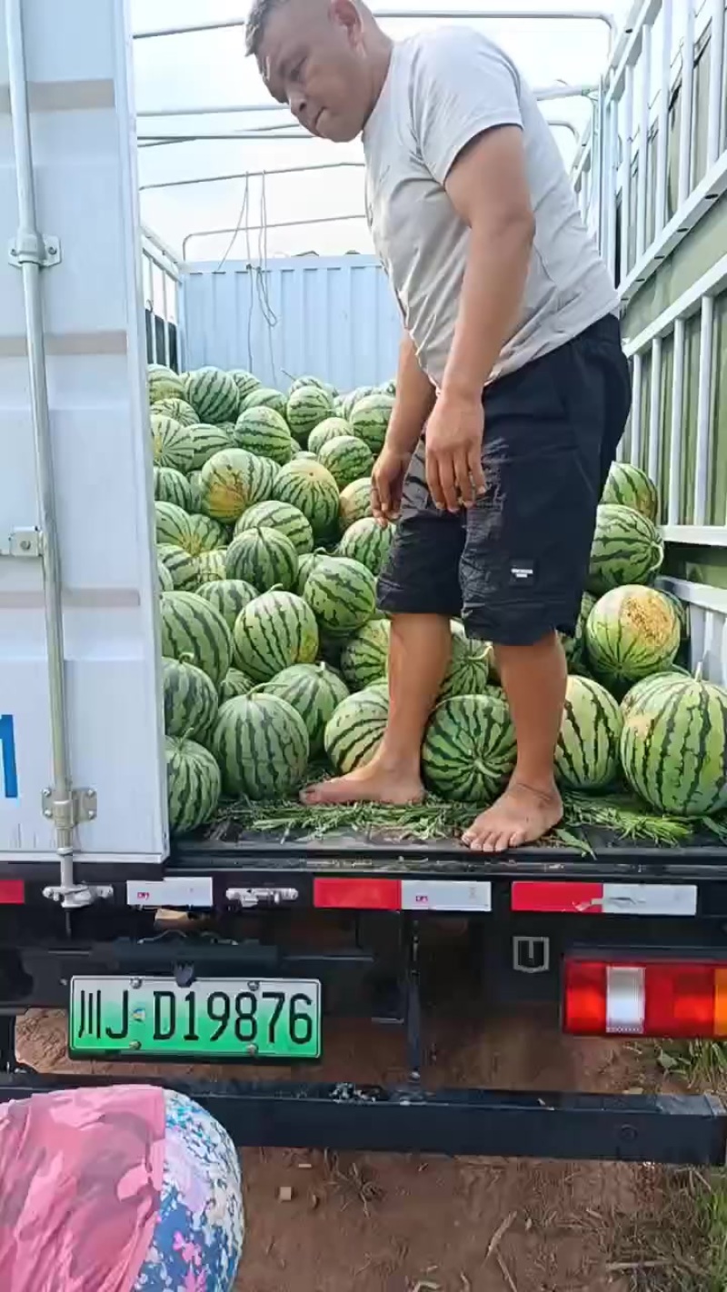 西瓜