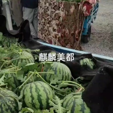 美都