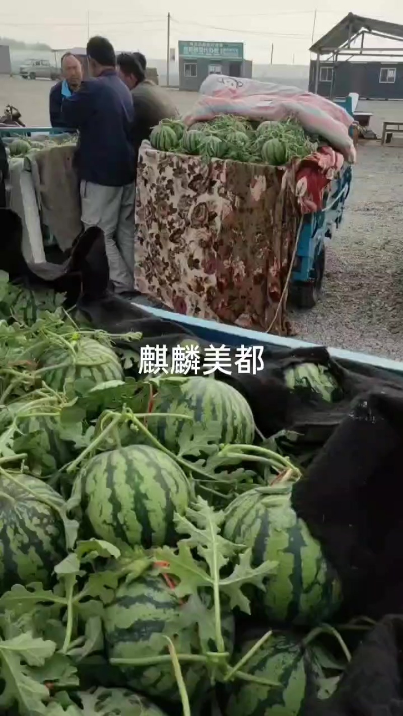 美都