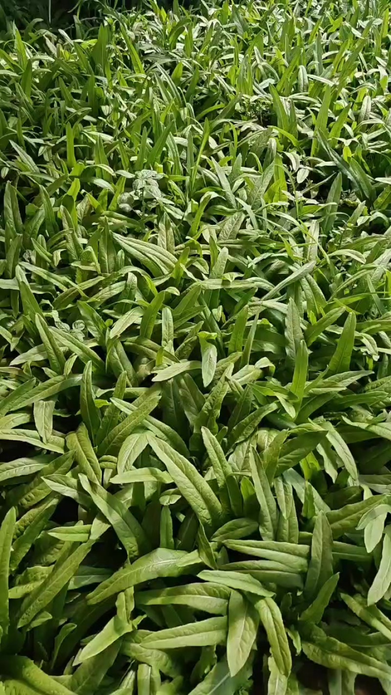 山西大同