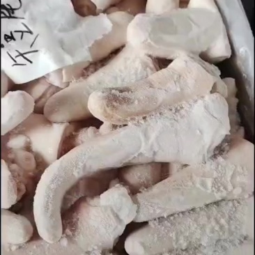 一级猪短尾1.5吨