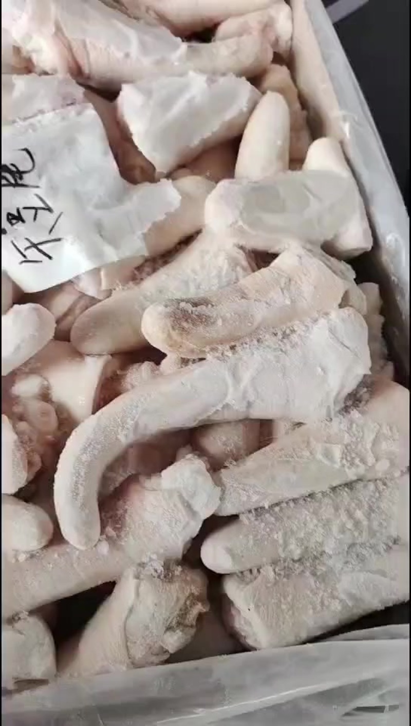 一级猪短尾1.5吨