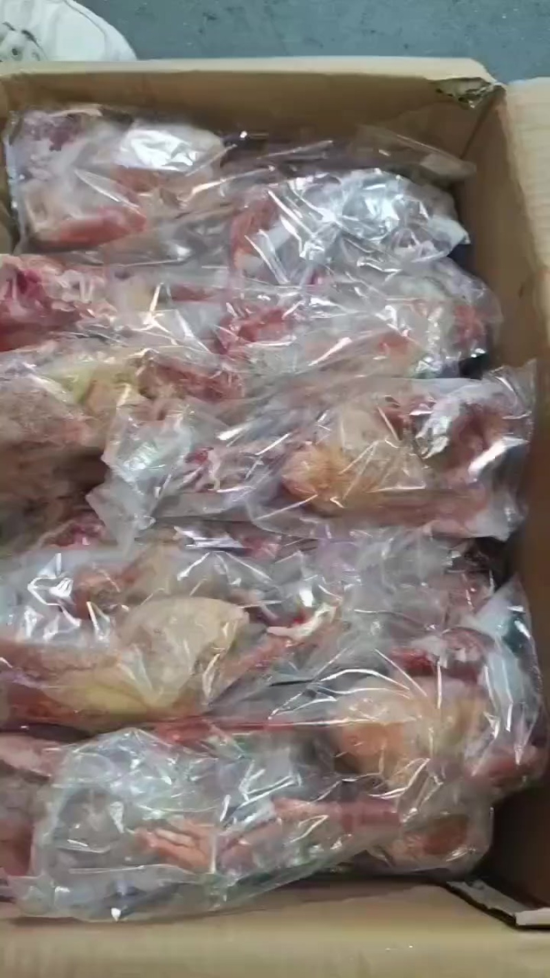 一级6-7量鸽子3万多只