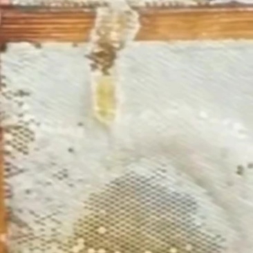 土蜂蜜