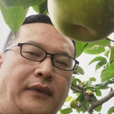 苍溪县翠冠梨