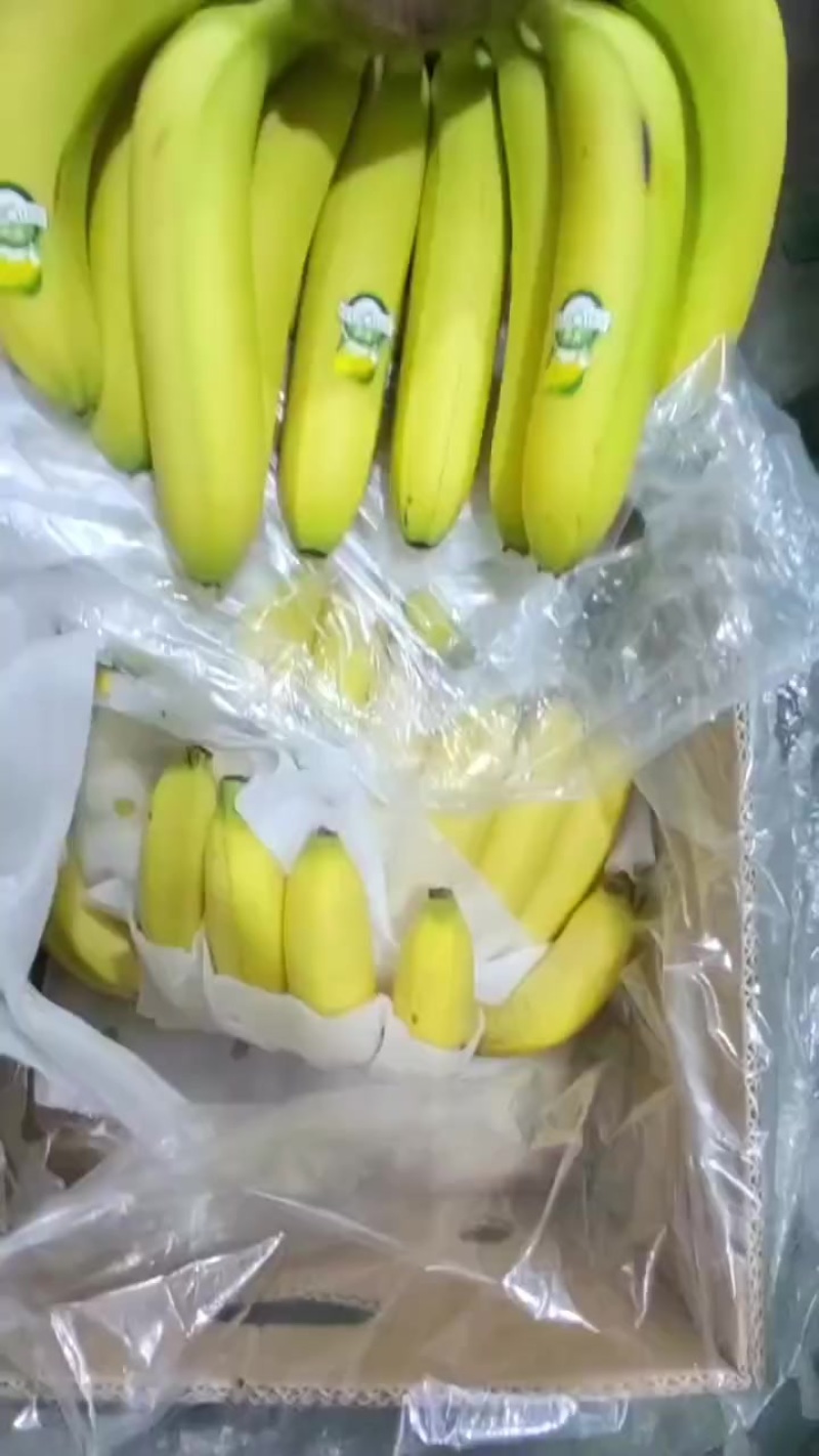 香蕉