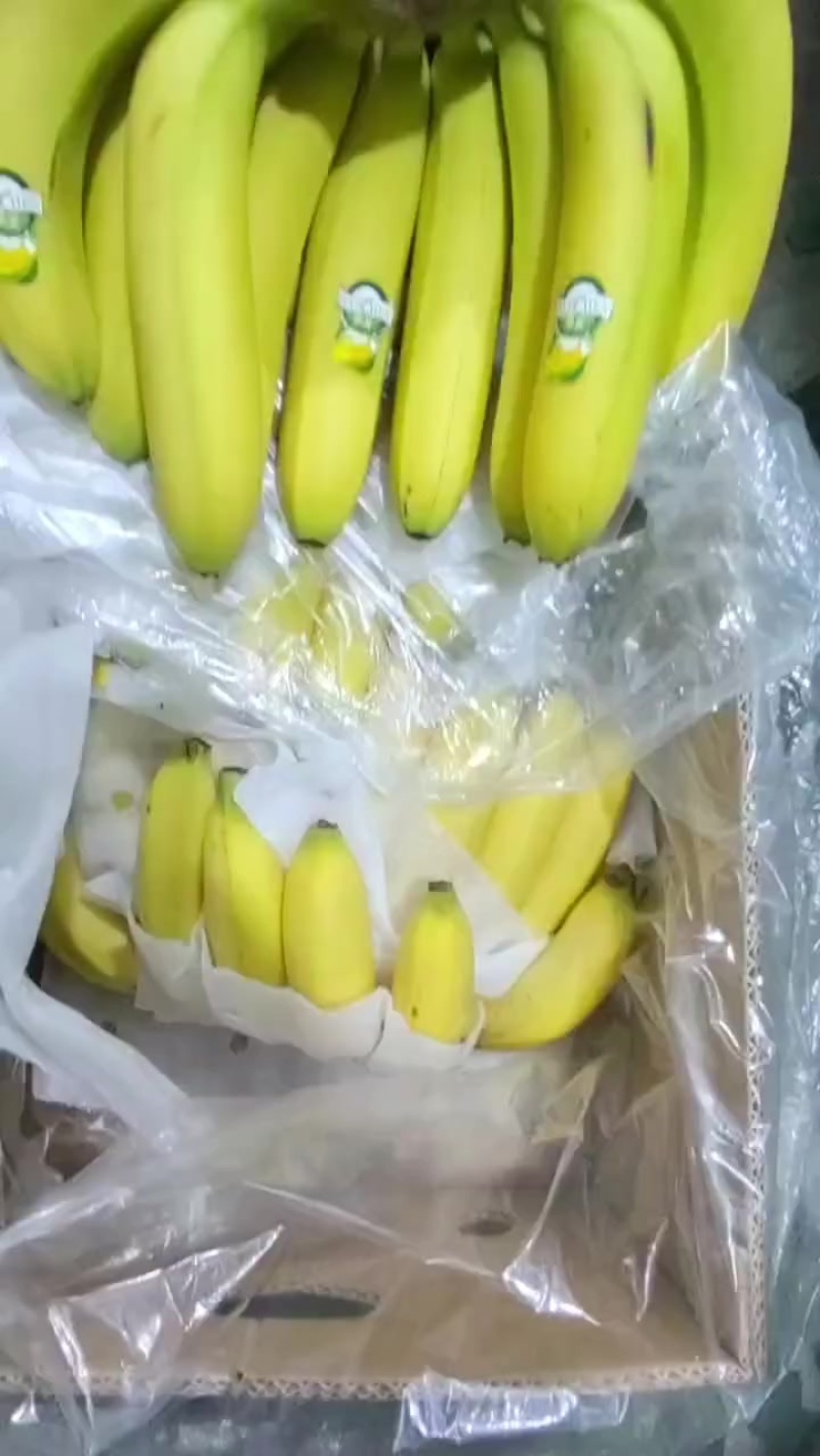 香蕉
