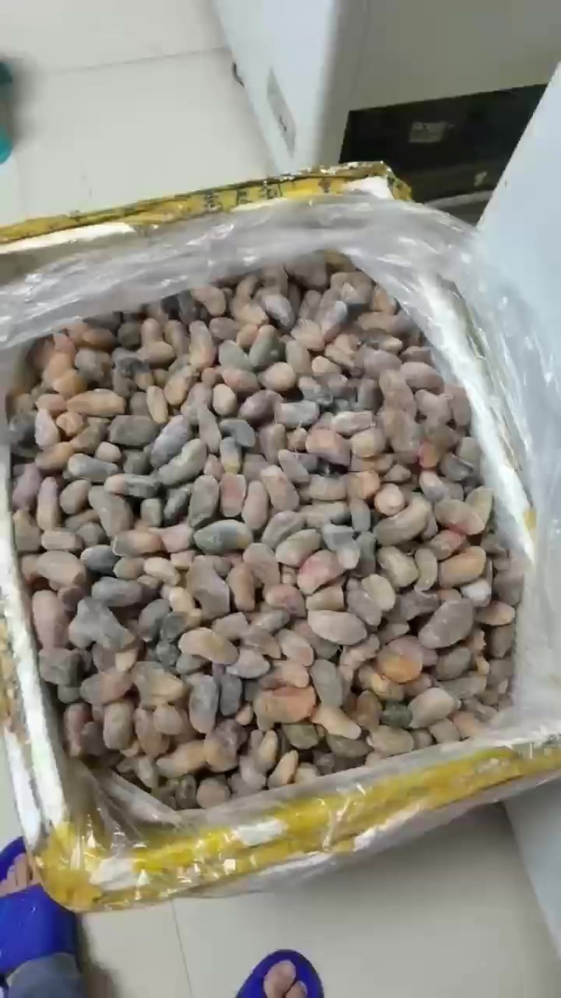 花腰700斤左右