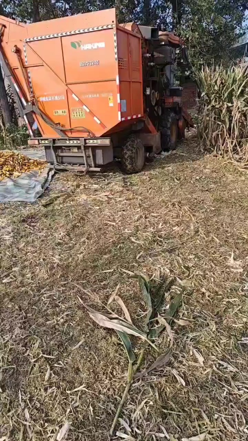 玉米收农机