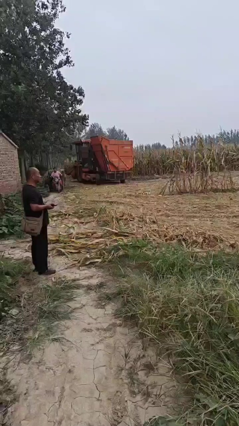 玉米收农机