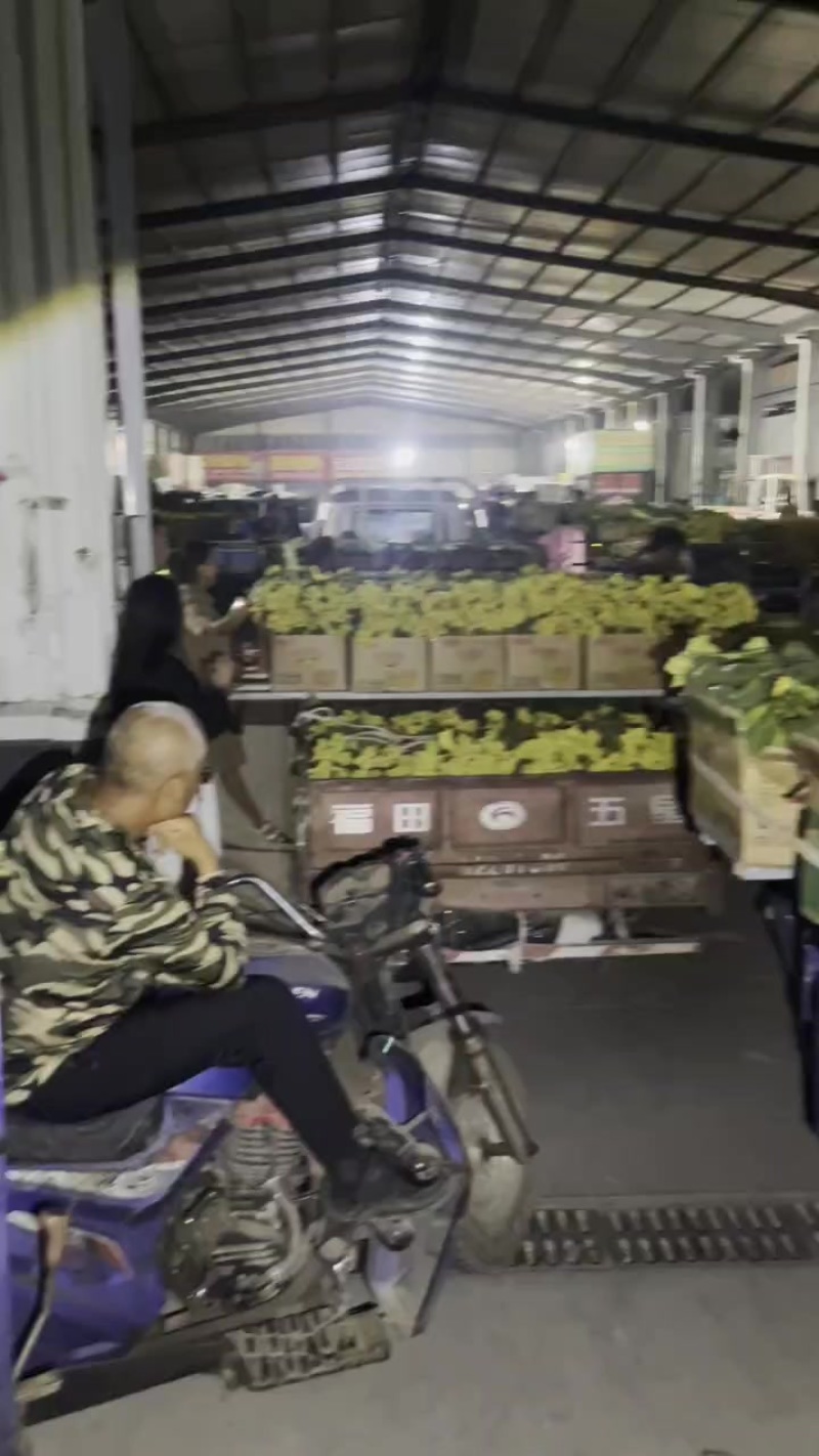鲜花丝瓜货量大的惊人什么品质都有价钱低