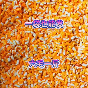 碎玉米