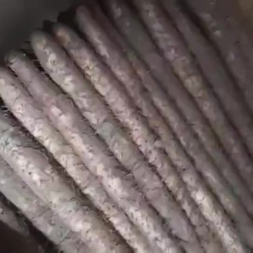 新疆白玉，货在山东单县冷库