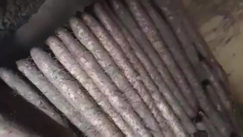 新疆白玉，货在山东单县冷库