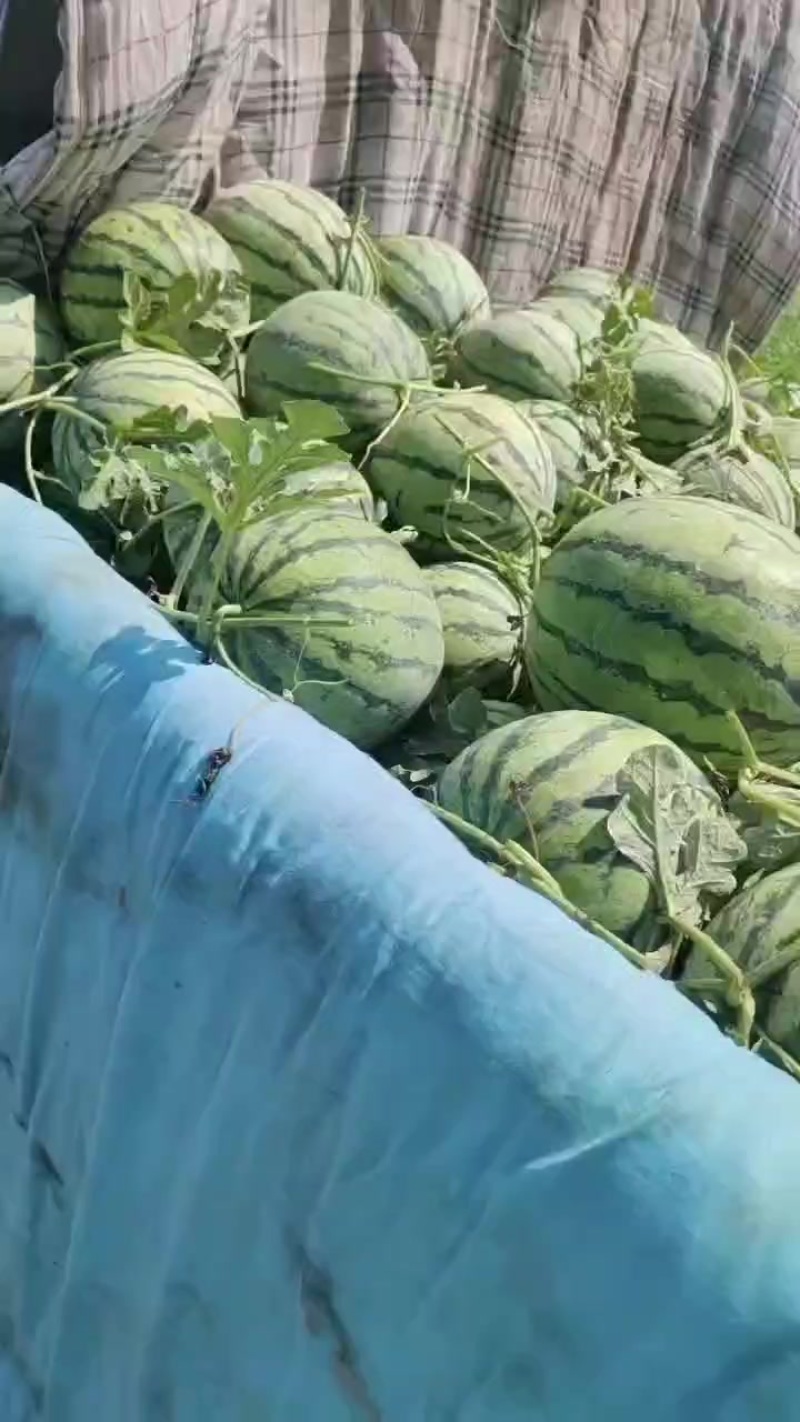 好货