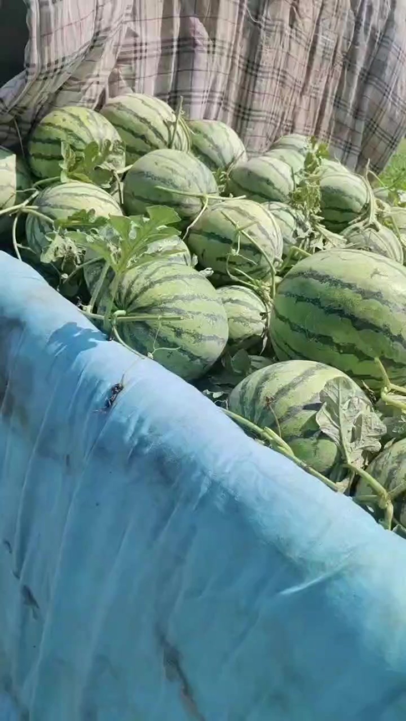 好货