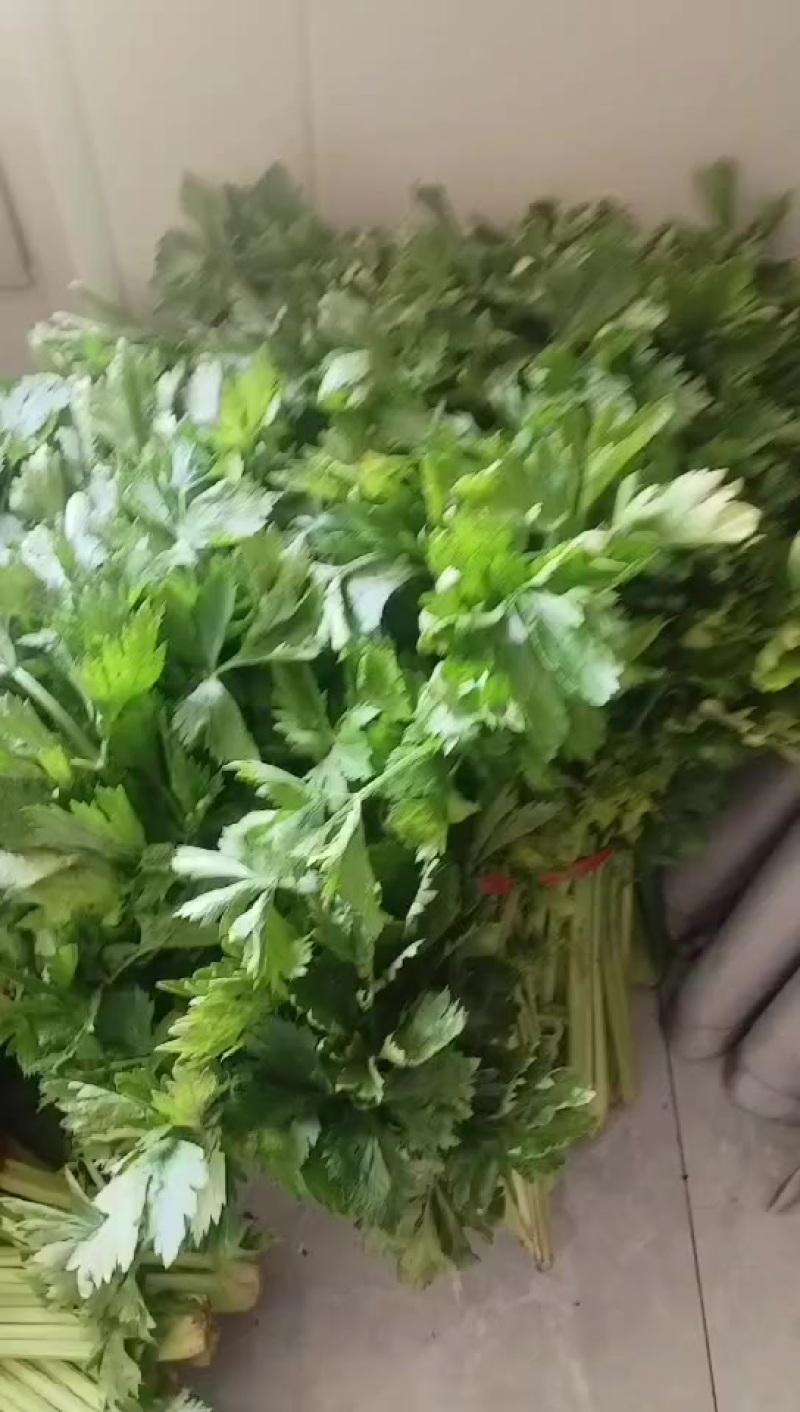 芹菜
