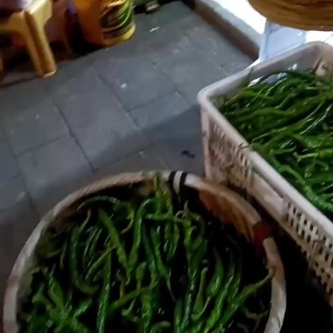 保靖辣椒