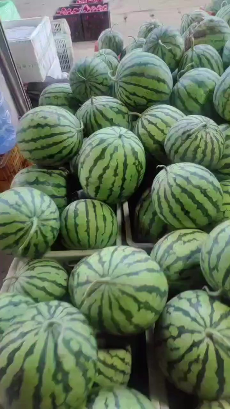 路天西瓜